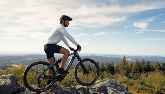 PORSCHE EBIKE